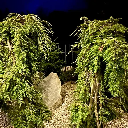 Goralska Domina Premium בקתה